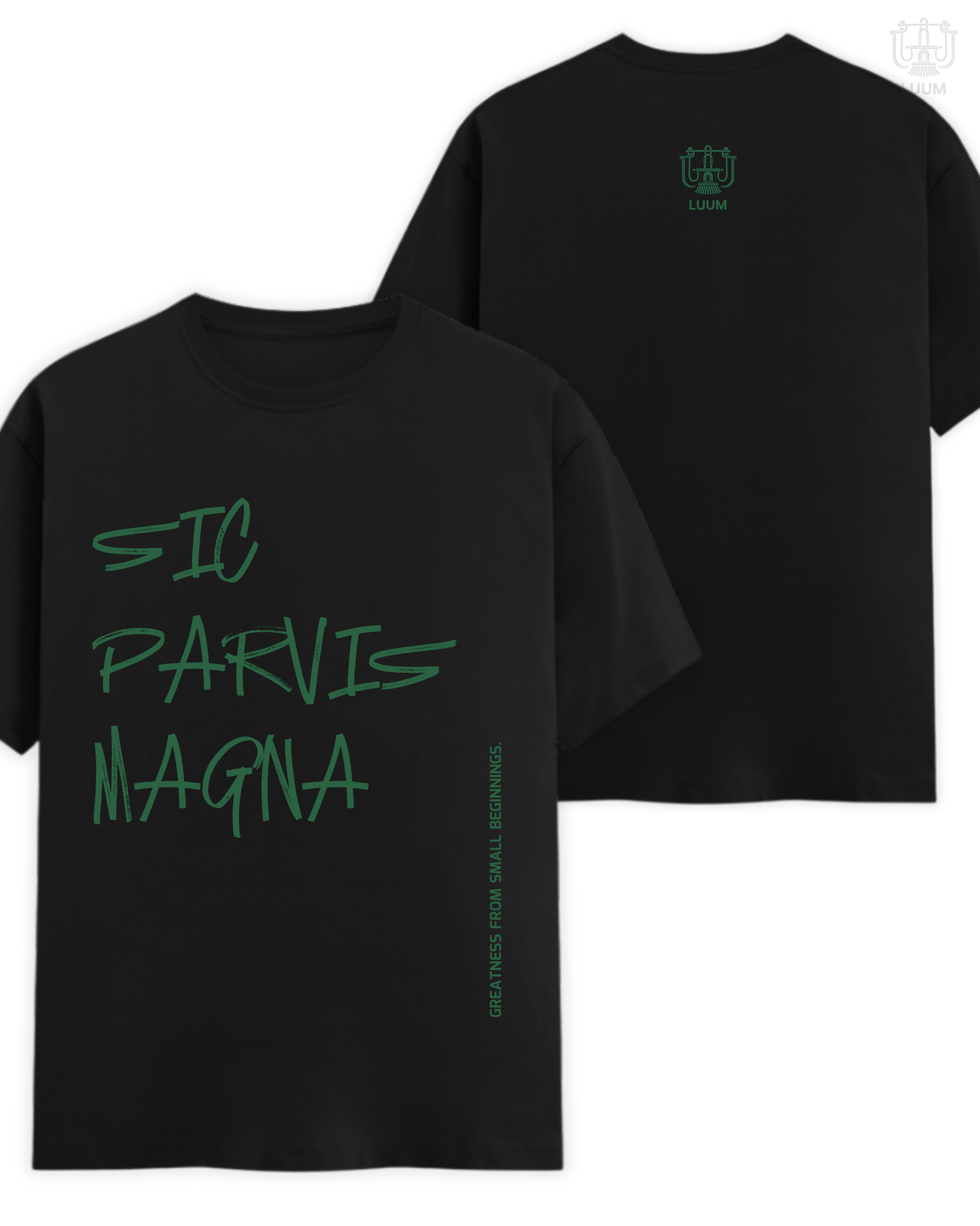 Sic Parvis Magna