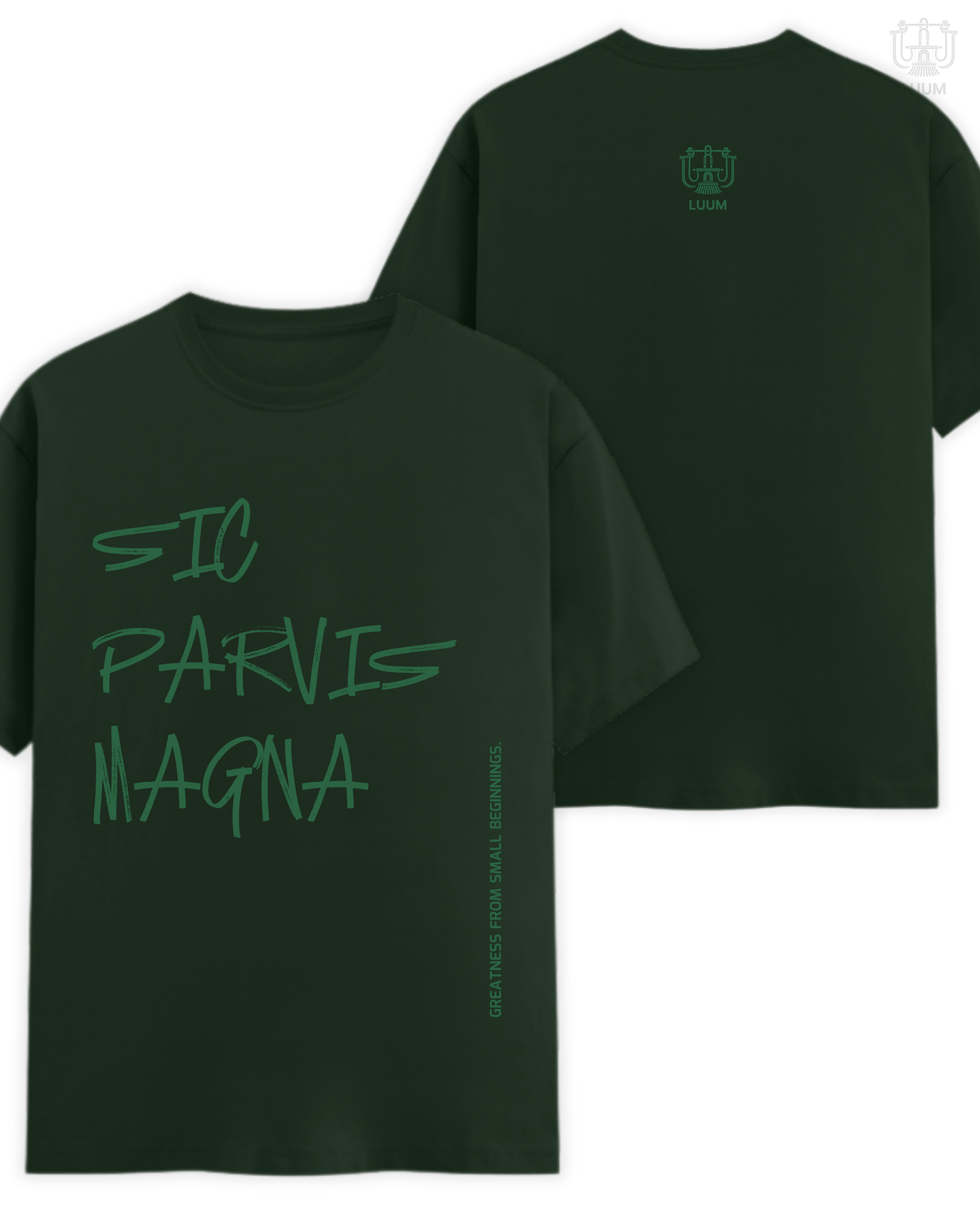 Sic Parvis Magna