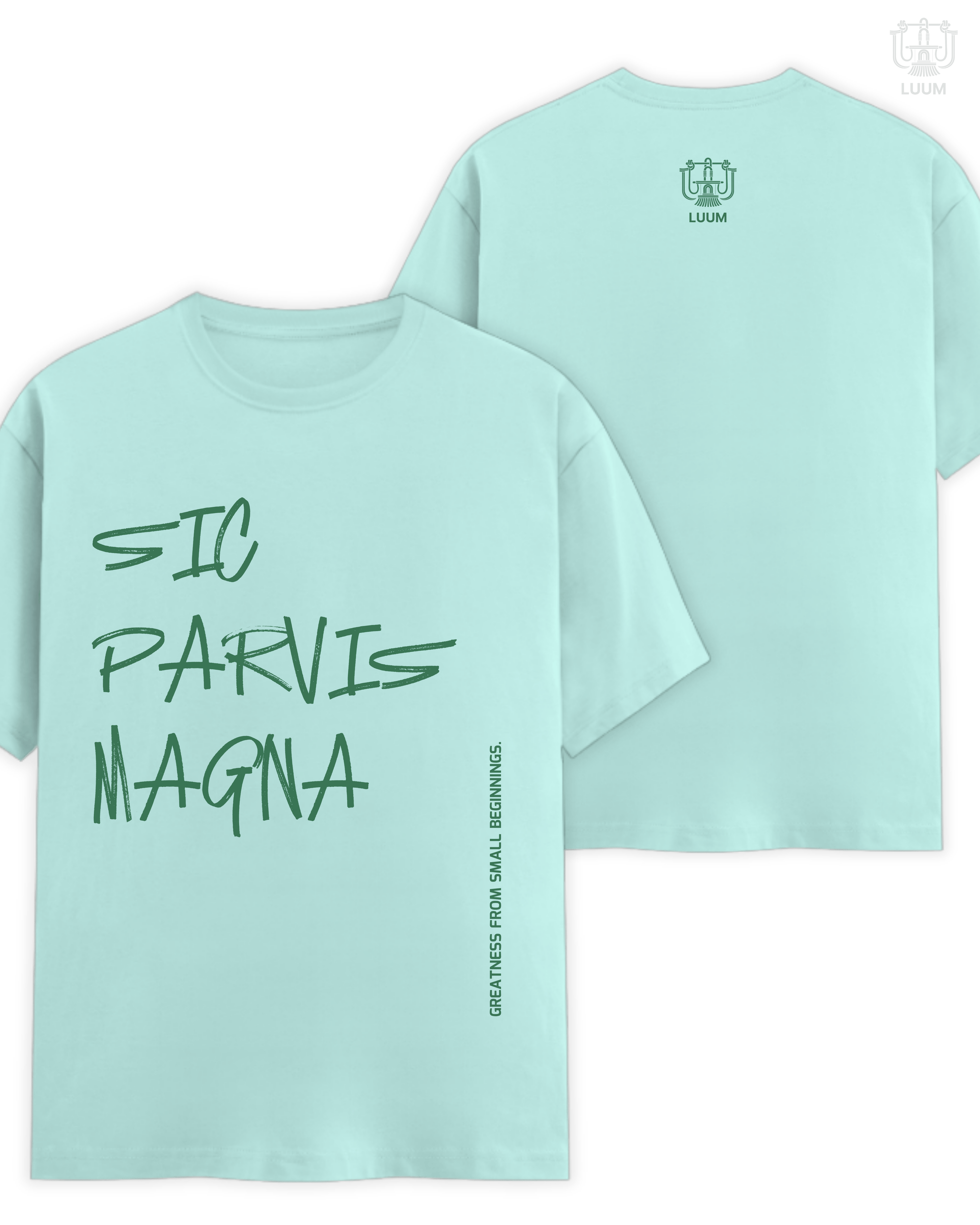 Sic Parvis Magna