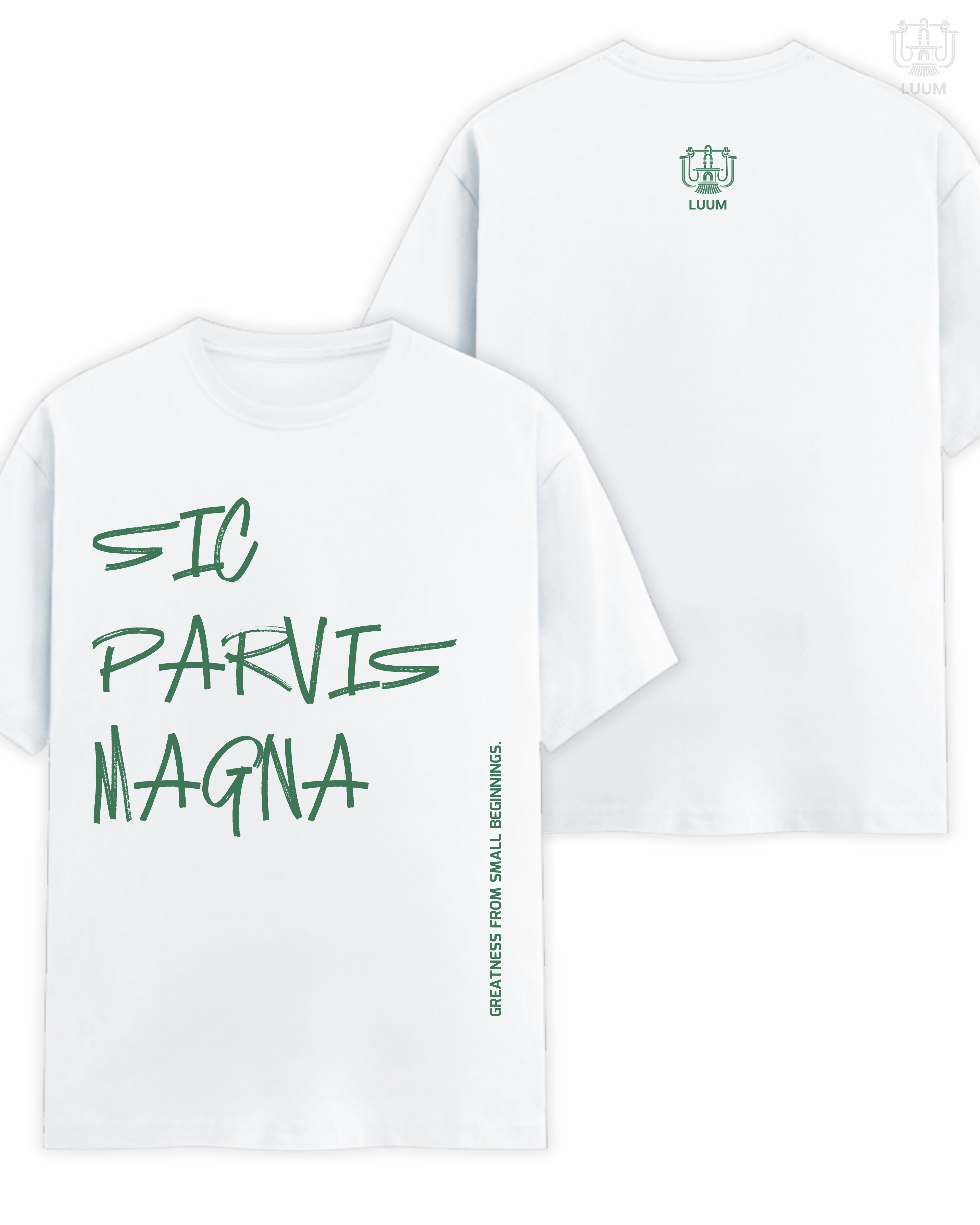 Sic Parvis Magna